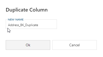 Duplicate Column Dialog -mtb-20-image