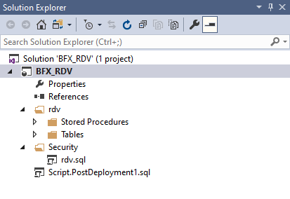 Visual Studio Solution Explorer