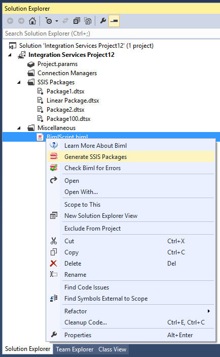 BimlExpress Solution Explorer Screenshot