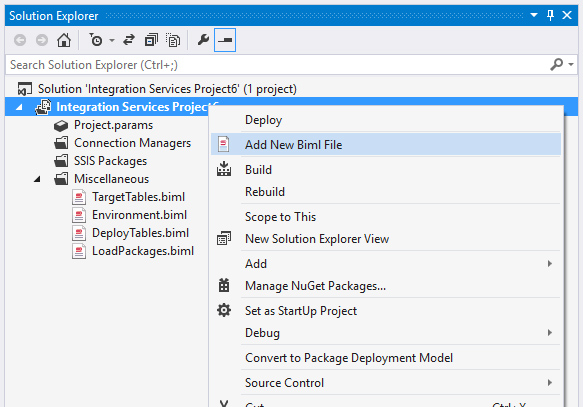 Adding a Biml File