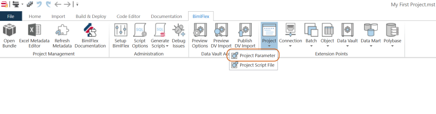 Create Project Parameter