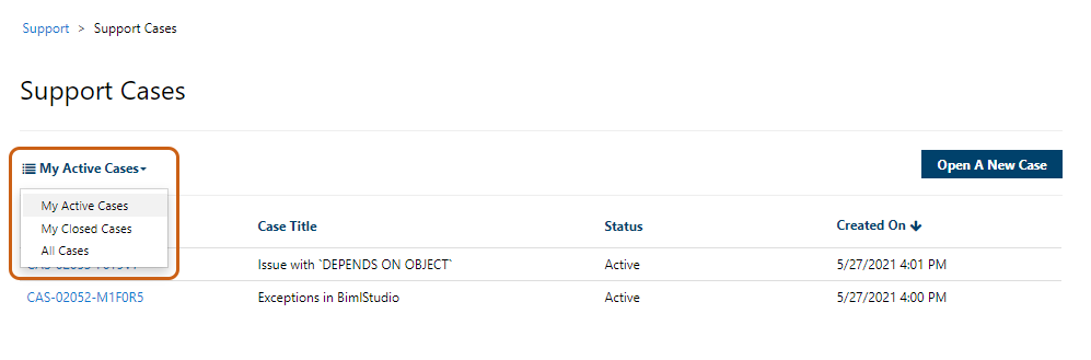 Account Admin Web Role Permission My Active Cases