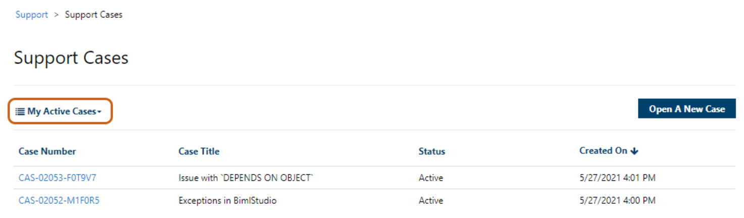Account Admin Web Role Permission My Active Cases View